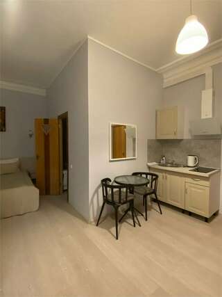 Гостиница Централ ИНН Санкт-Петербург Студия с двуспальной кроватью-1